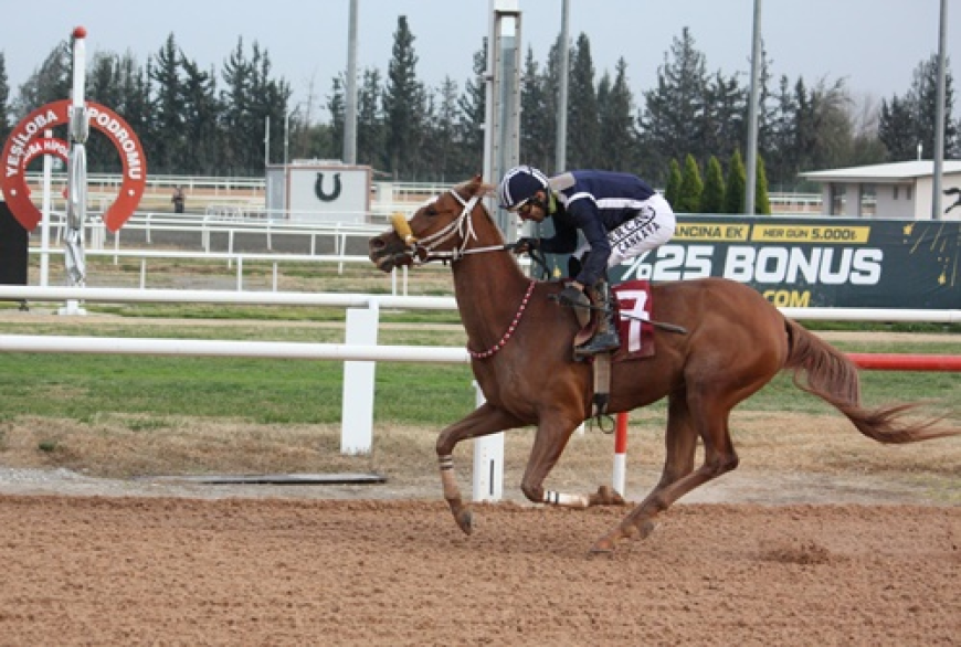 Yüreğir Belediyesi Koşusu'nu Kılıçaslı kazandı