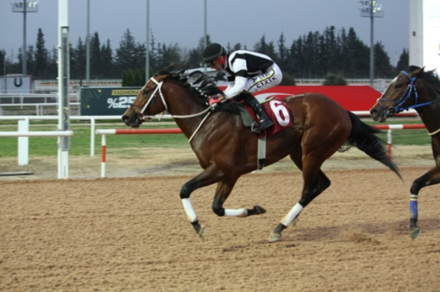 Faruk Ayral Koşusu'nda kazanan Frou Frou oldu