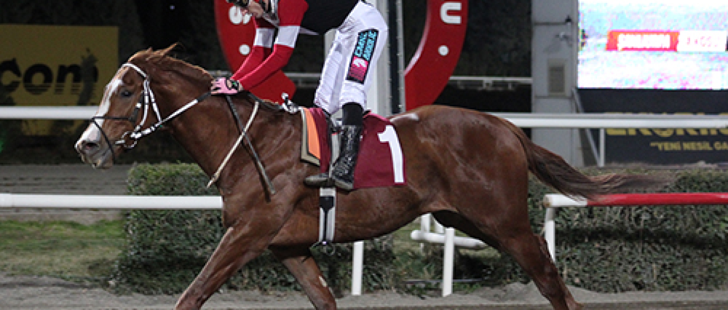 Şanlıurfa Jandarma Koşusu’nda galibiyete Kubat Kasırgası ulaştı  