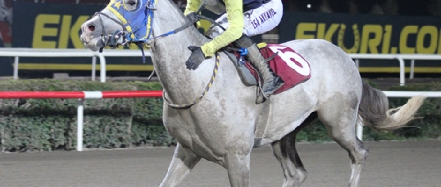 Viranşehir Kaymakamlığı Koşusu'nu Küçük Eyyüp Kazandı