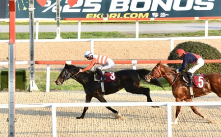 Prof. Dr. Mecdi Ramazanoğlu Koşusu'nu Captain Fantastic kazandı