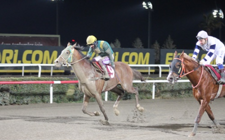 Göbeklitepe Koşusu'nda galibiyet Akdağ Fırtınası'nın oldu