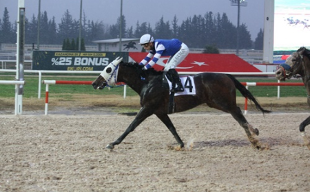 Toroslar Koşusu'nda Birinciliğe Silent Treatment Uzandı