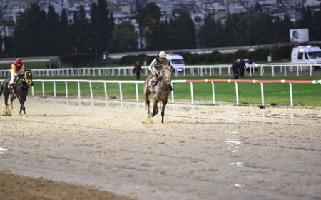 TSYD İzmir Şubesi Koşusu'nda kazanan Queen Sev oldu
