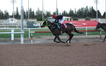TSYD Adana Şubesi Koşusu'nu Zagros Rüzgarı Kazandı
