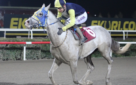 Viranşehir Kaymakamlığı Koşusu'nu Küçük Eyyüp Kazandı