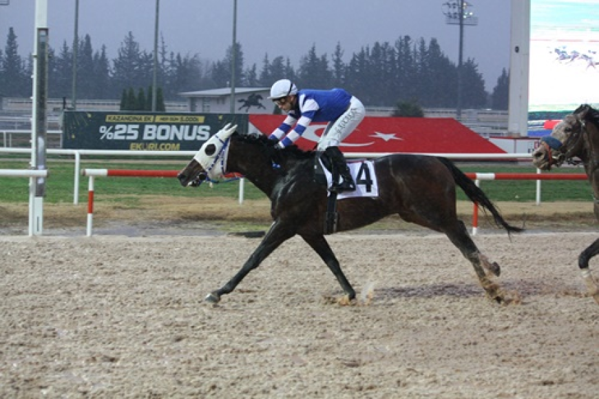 Toroslar Koşusu'nda Birinciliğe Silent Treatment Uzandı