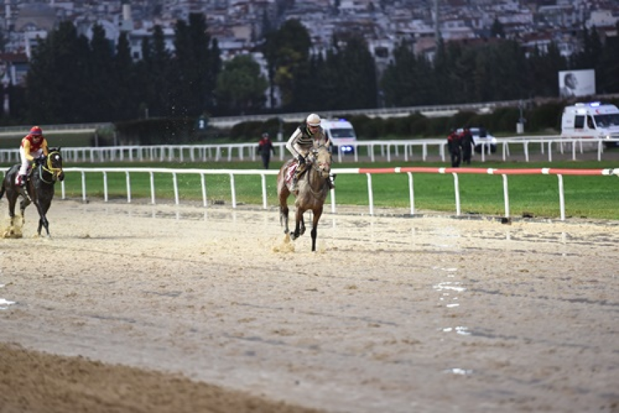 TSYD İzmir Şubesi Koşusu'nda kazanan Queen Sev oldu