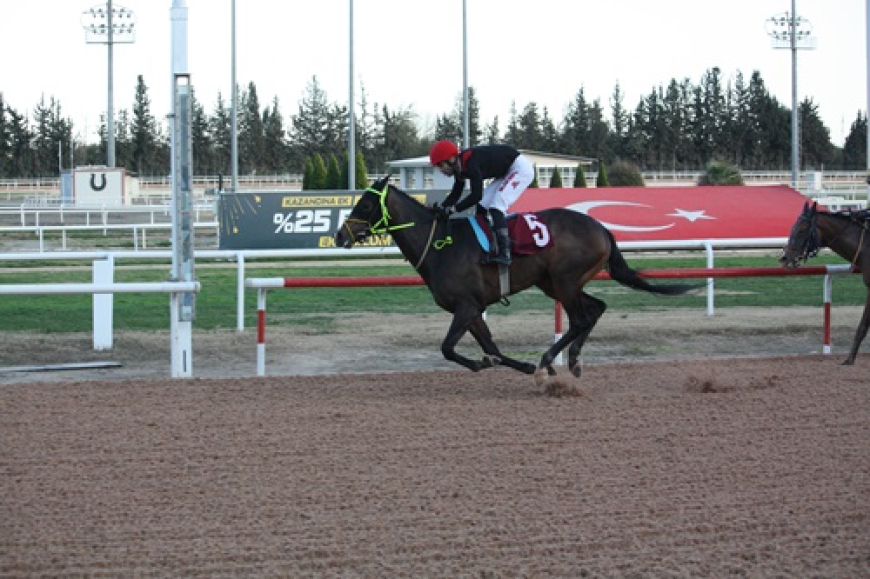 TSYD Adana Şubesi Koşusu'nu Zagros Rüzgarı Kazandı