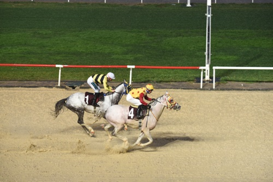 Muhittin Ekiz Koşusu'nu Rüzgardahan Kazandı