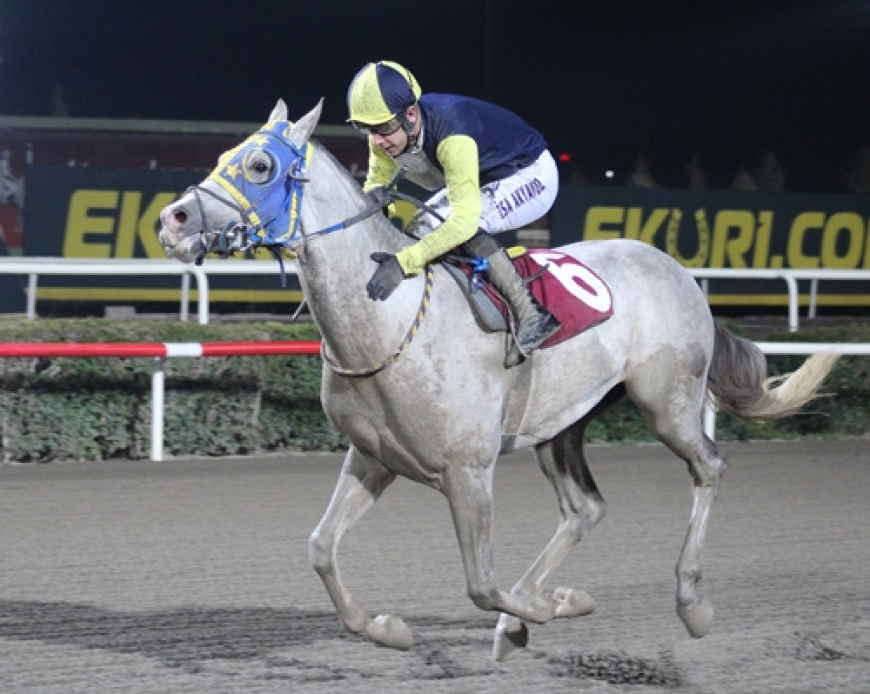 Viranşehir Kaymakamlığı Koşusu'nu Küçük Eyyüp Kazandı