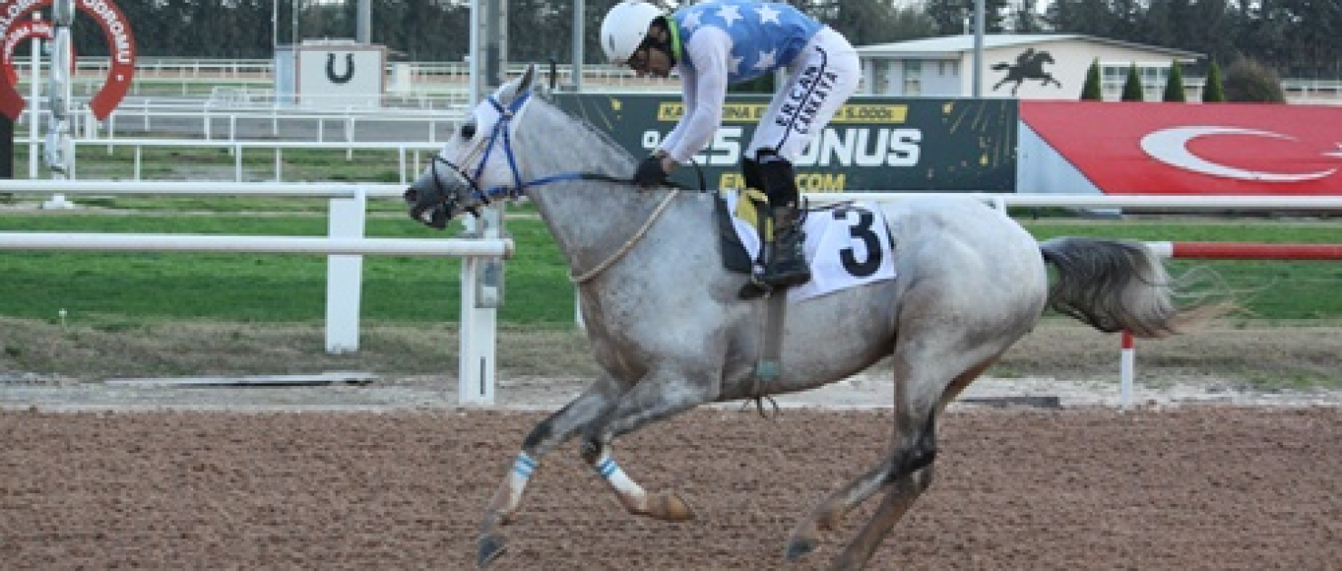 Misak-ı Milli Koşusu'nda Zafer Gürayhan'ın