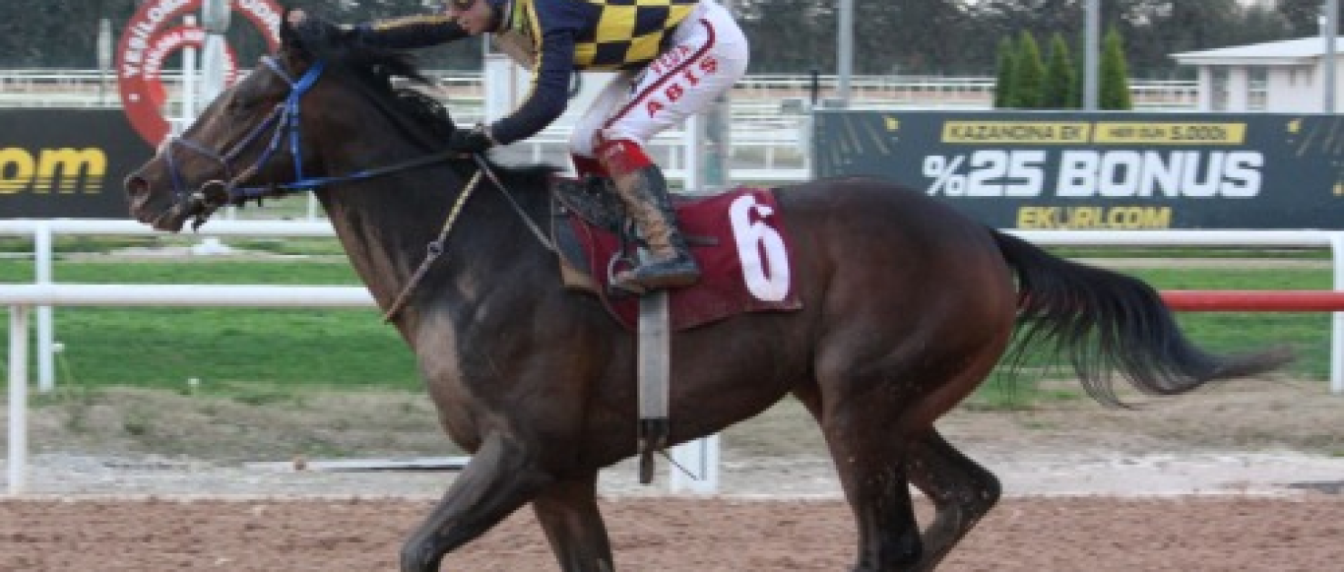 M. Fehmi Dinkçioğlu Koşusu'nun Galibi Percy Jackson Oldu