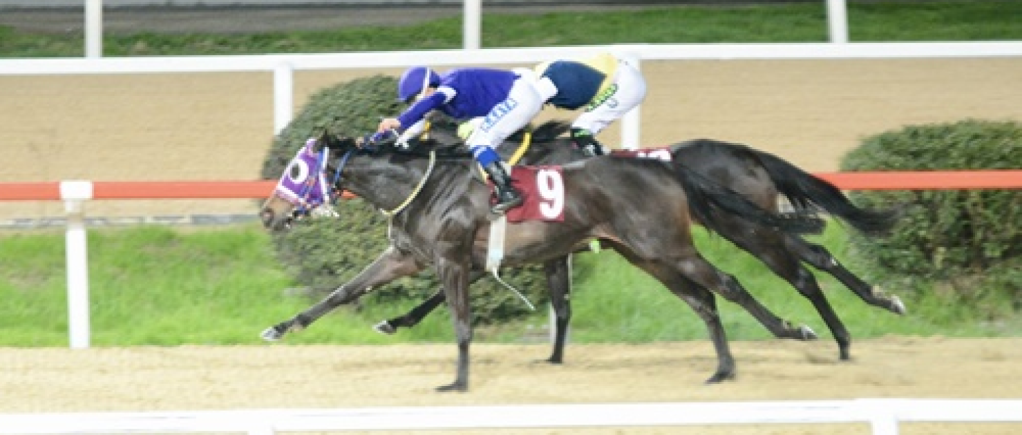 Nimet Üyken Koşusu'nu Lyara kazandı