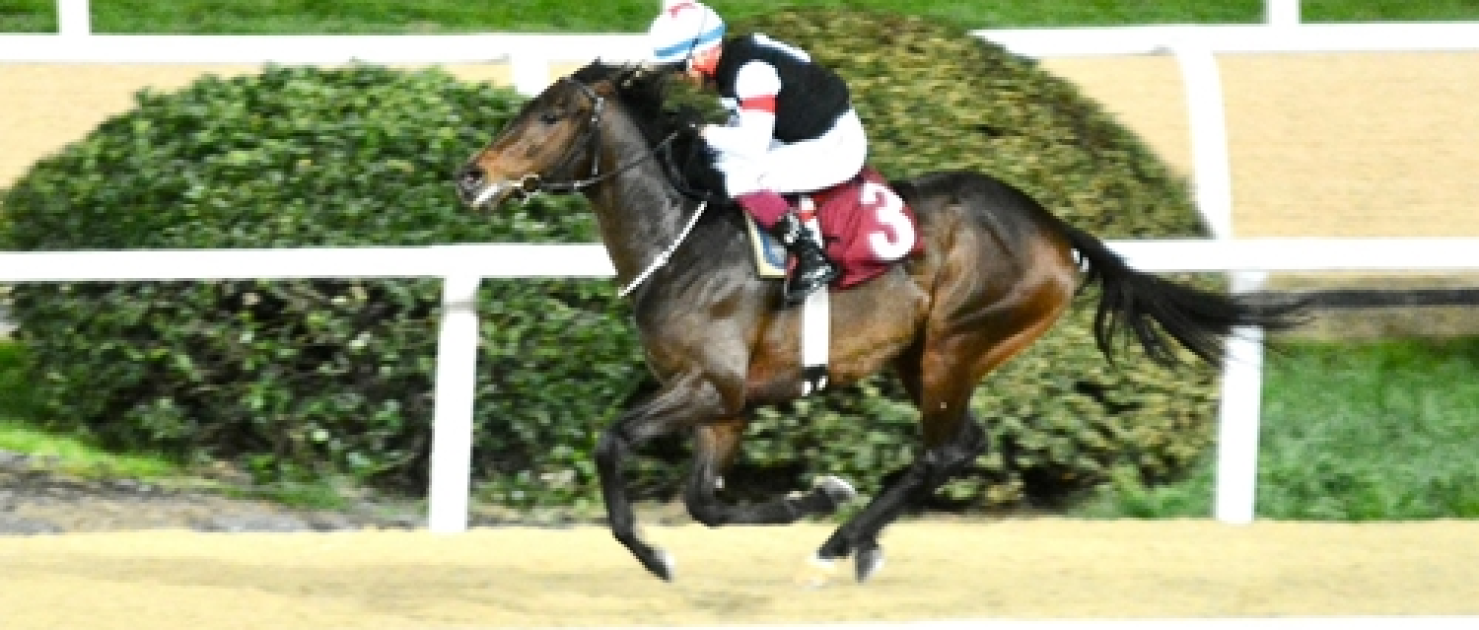 Özkan İşgüden Koşusu'nu Hope Breeze kazandı