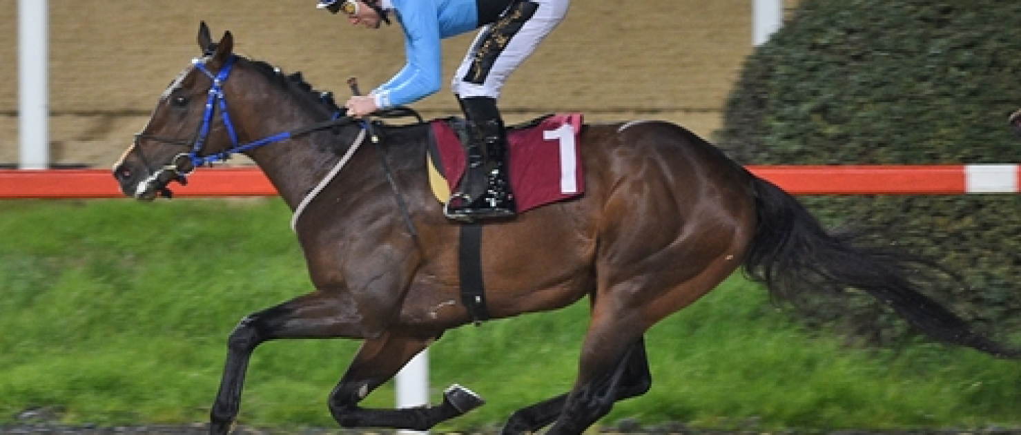 Sedat Özcan Koşusu'nun Galibi Ballad King Oldu