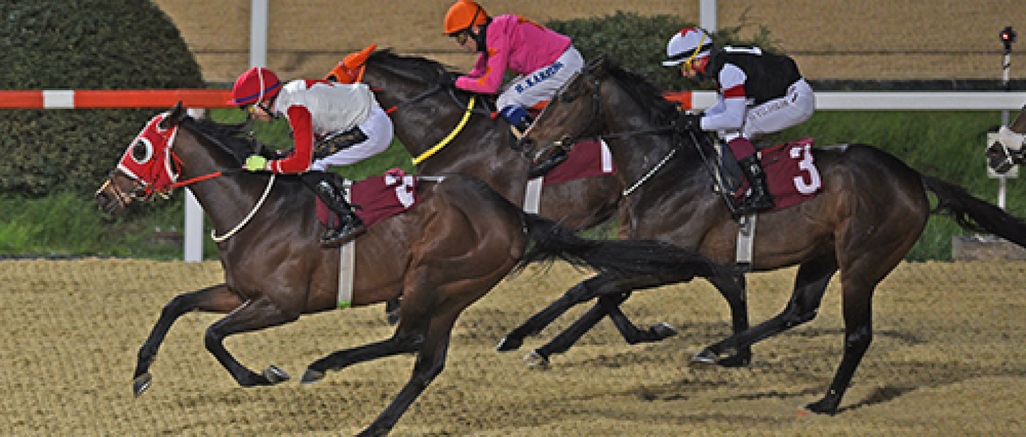 Gültekin Alpay Koşusu'nda Zafer Dagmar'ın Oldu