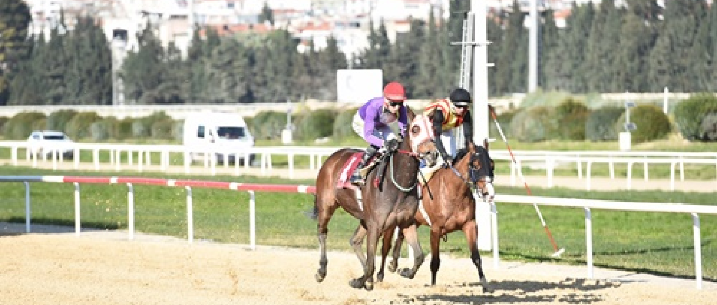 Aktan Bayrak Koşusu'nun Galibi Pehlivan Yıldızı Oldu