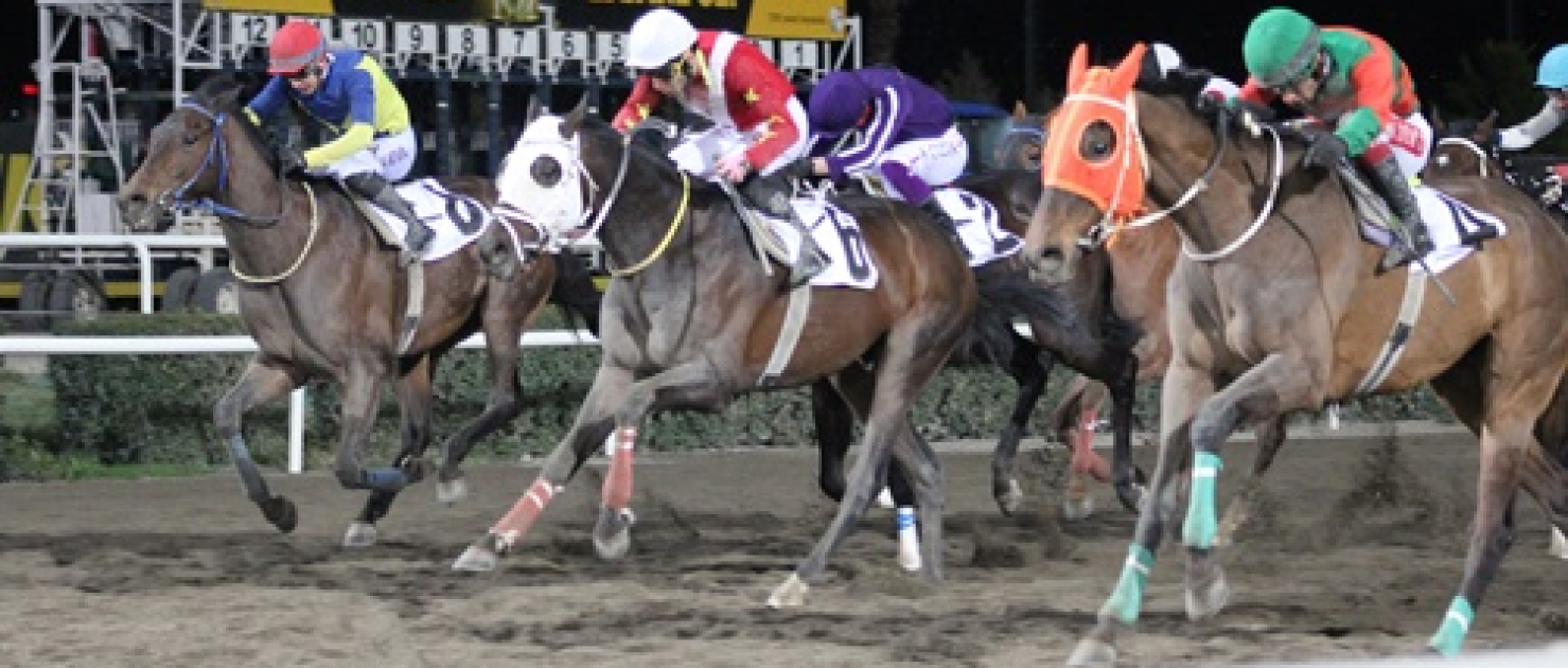 Uluslararası Şanlıurfa Büyükşehir Belediye Başkanlığı Koşusu'nu Dar Sokak kazandı