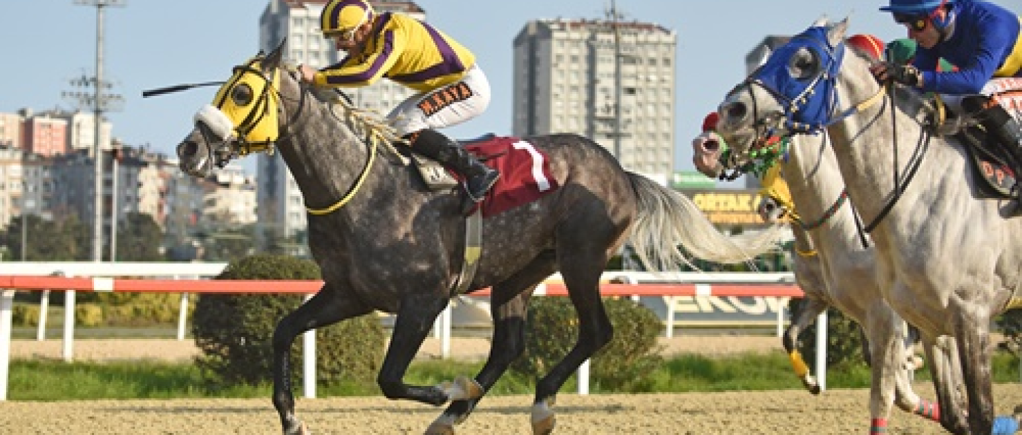 Kenan Atan Koşusu'nun Galibi Ak Filozof Oldu