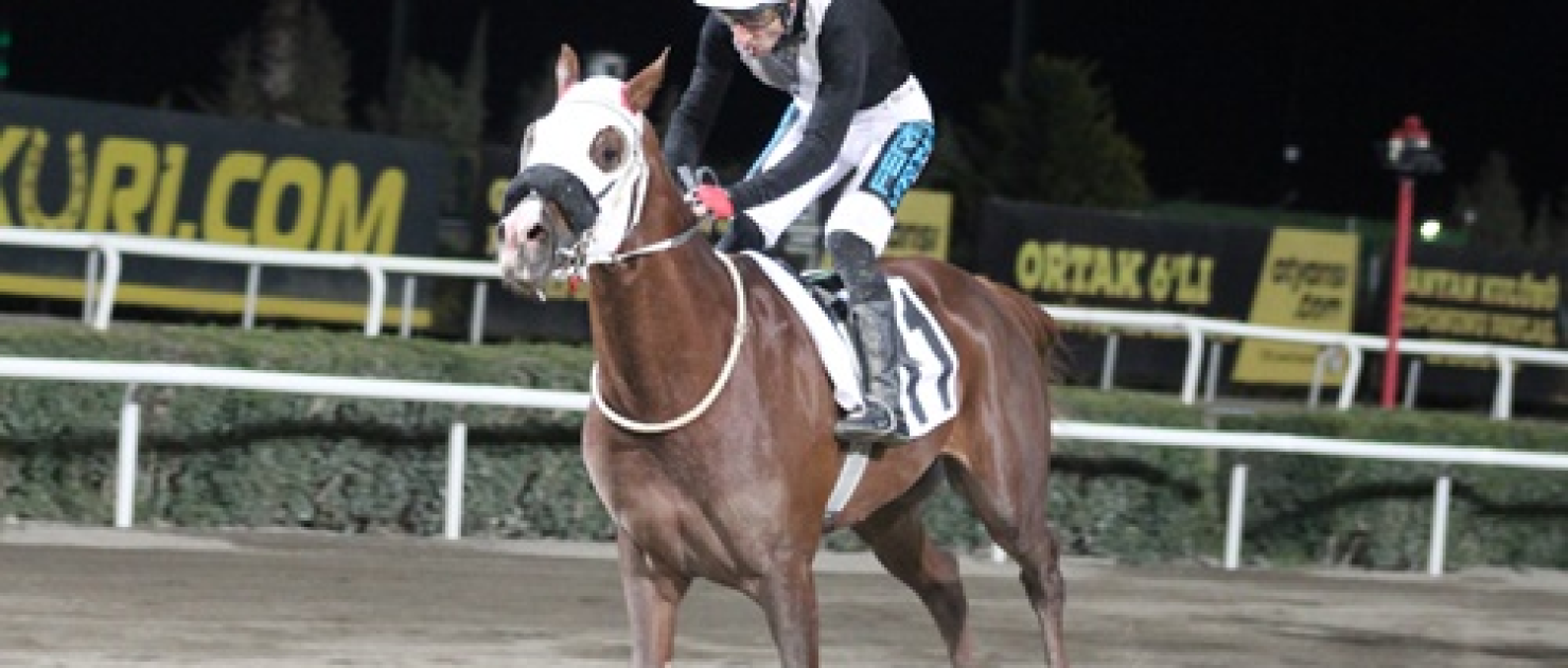 Şanlıurfa Vali Koşusu'nda Zafer Kent Rüzgarı'nın