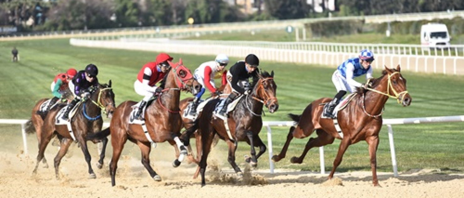 Fehmi Simsaroğlu Koşusu'nda Zafere Almighty Esprit Ulaştı