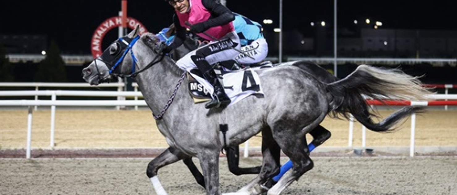 Antalya Vali Koşusu'nda Zafer Günötesi'nin Oldu