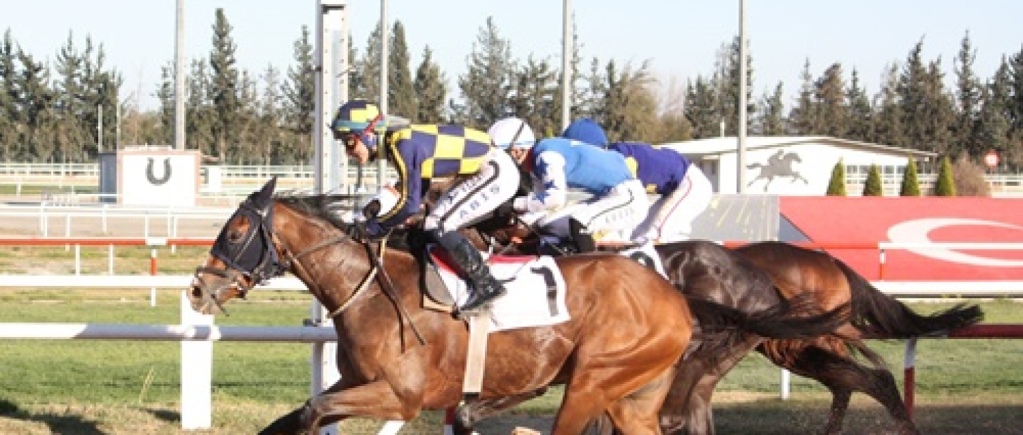 Uluslararası Karacaoğlan Koşusu'nda Zafer Bayır Efe'nin Oldu