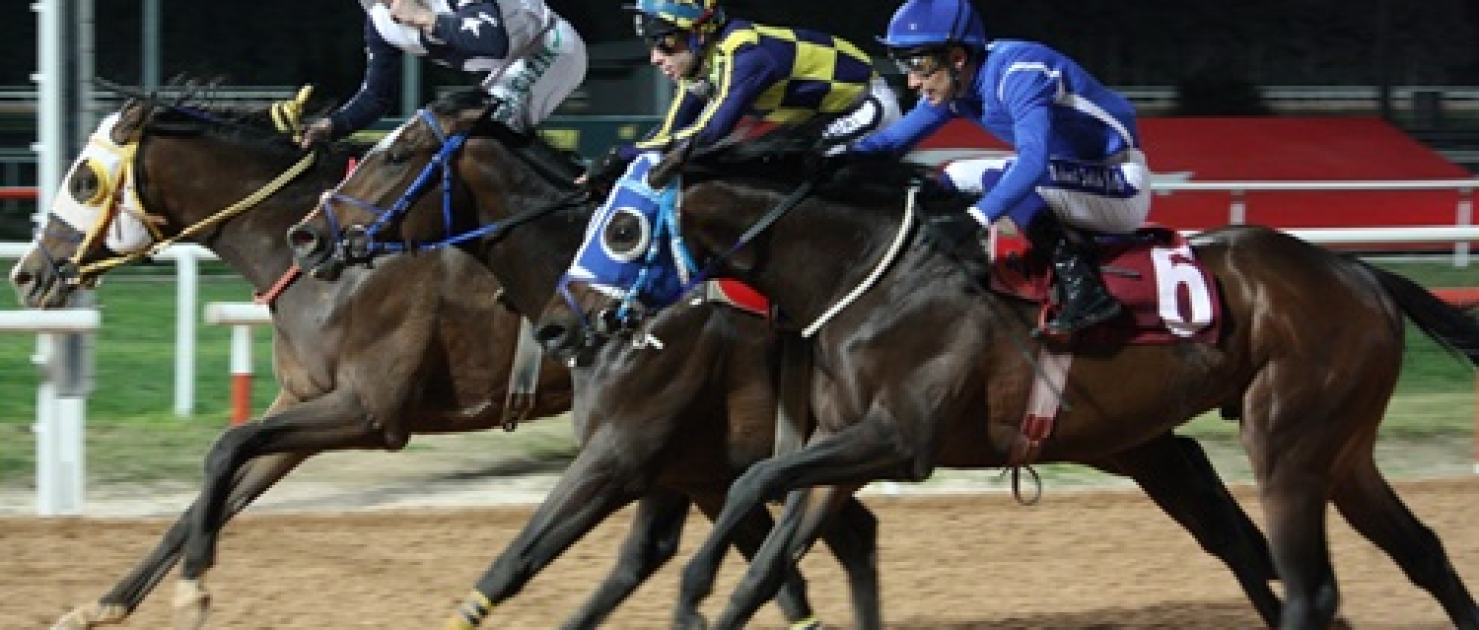 12. Kadına Şiddete Hayır Koşusu'nda Zafere Hood River Ulaştı