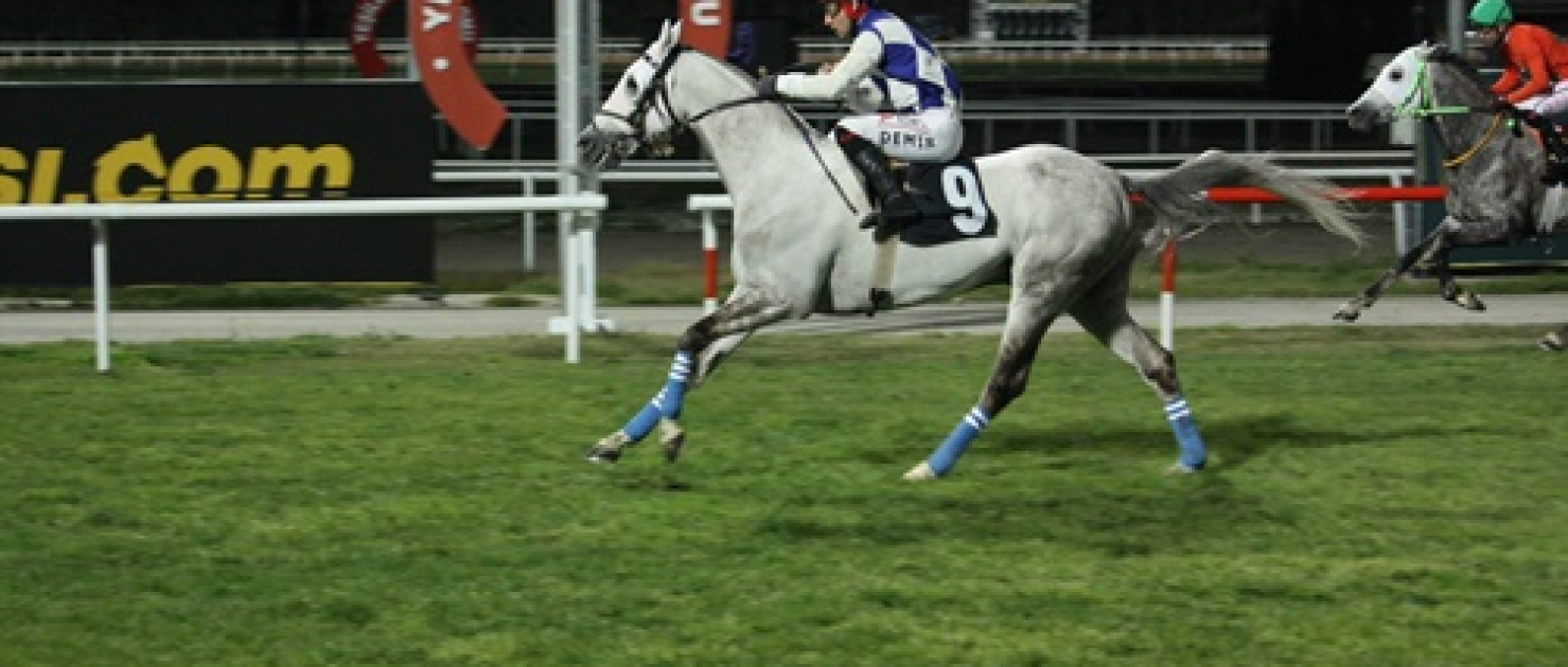 Tarsus Belediye Başkanlığı Koşusu'nda Zafere Aslan Yağız Ulaştı