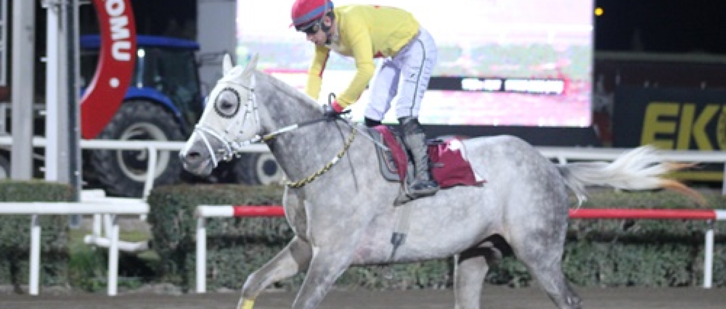 Suruç Kaymakamlığı Koşusu'nun Galibi Aslan Hatip Oldu