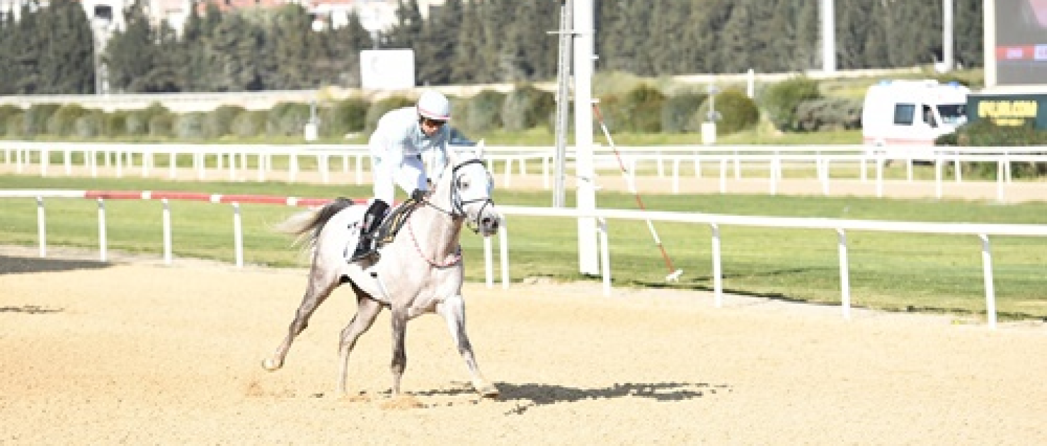 Nejat Evliyazade Koşusu'nda Zafere İlkerhan Ulaştı
