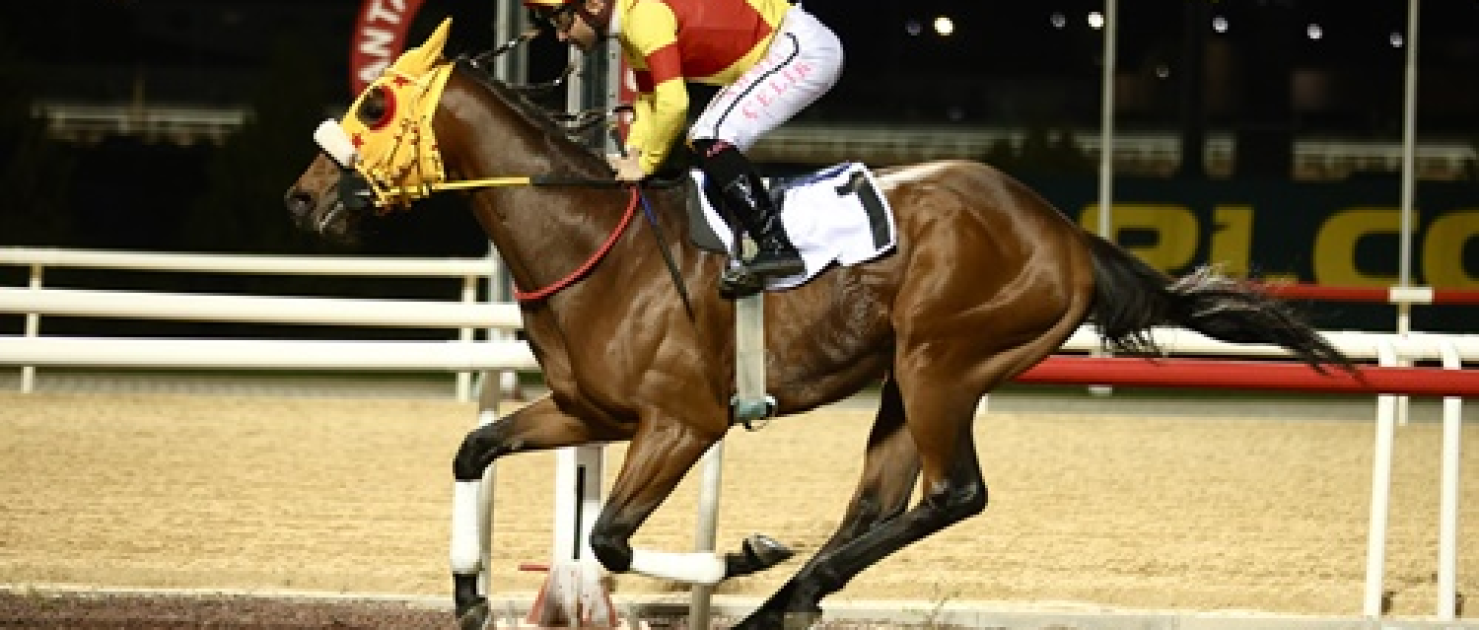 Antalya Büyükşehir Belediye Başkanlığı Koşusu'nun Kazananı Bay Nalçakan Oldu
