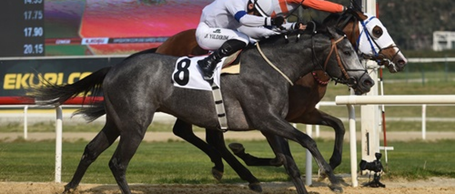 Hipodrom.com Ege Derbisi'nin Şampiyonu The Protecter Oldu