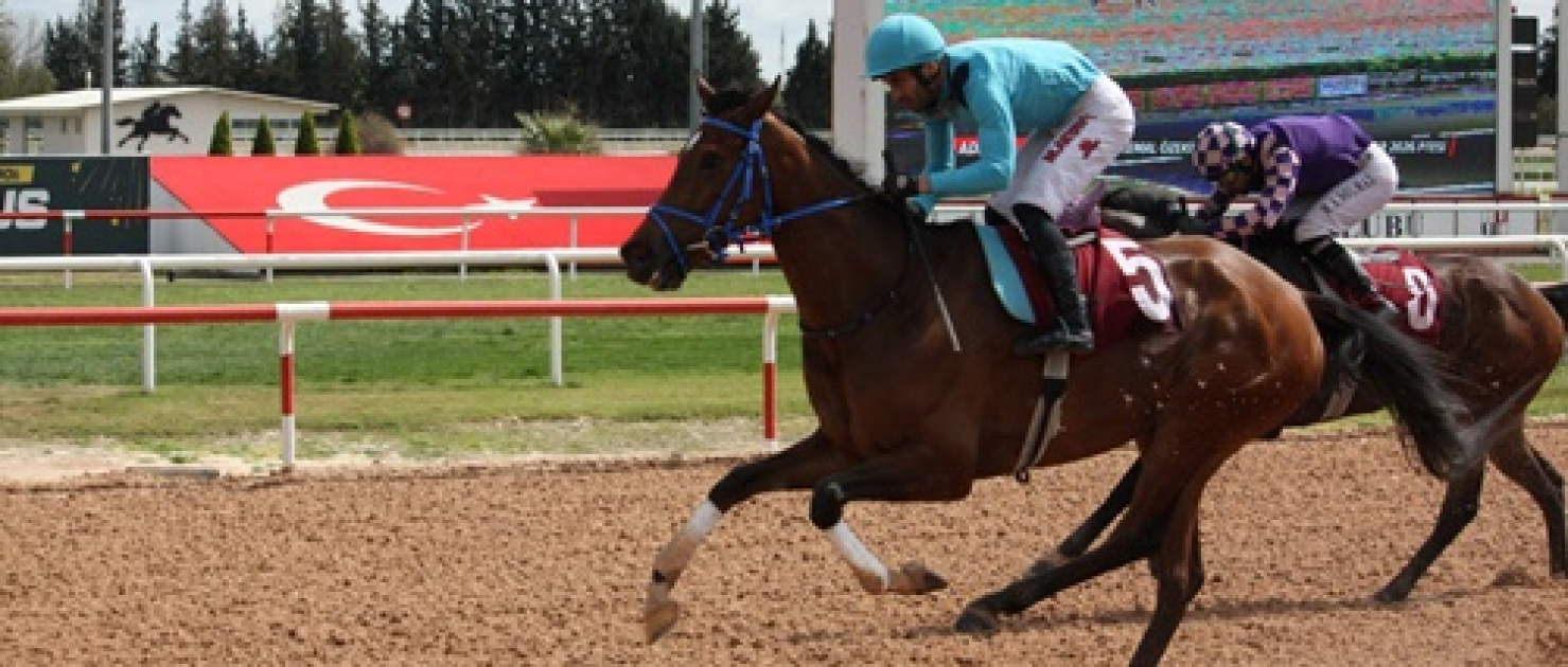 Kemal Özekici Koşusu'nda Zafer Prenses Sylvester'ın Oldu