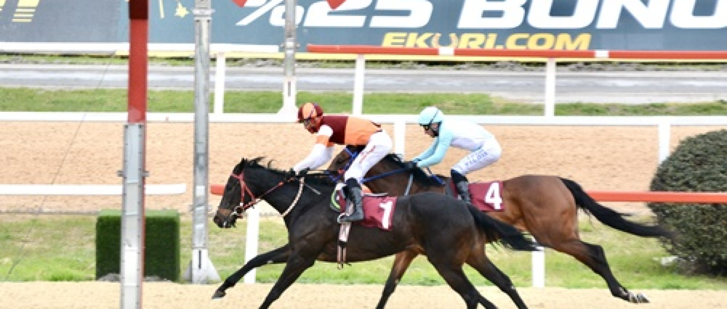 Nuri Midillili Koşusu'nda Zafer İphiklos'un Oldu