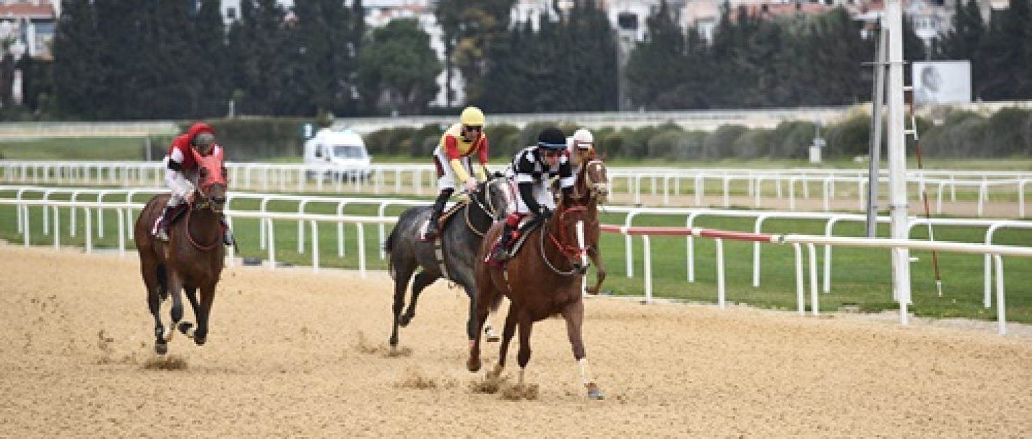 Sedat Evliyazade Koşusu'nda Zafere Hard Runner Ulaştı