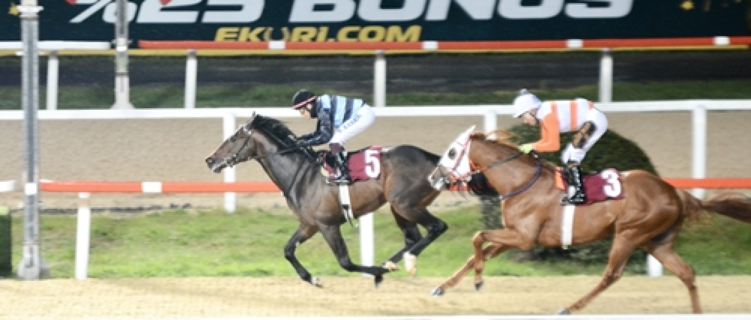 Günen Ökten Koşusu'nda Zafere Statue Of Liberty Ulaştı