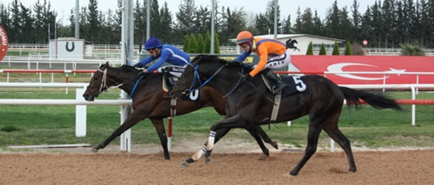 Sarıçam Belediye Başkanlığı Koşusu'nda Zafer Money Well Spent'in Oldu