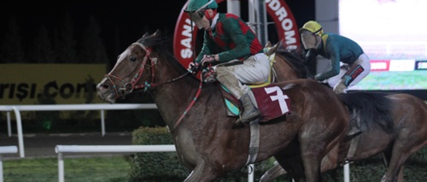 Siverek Belediye Başkanlığı Koşusu'nun Kazananı Payidar Kaya Oldu