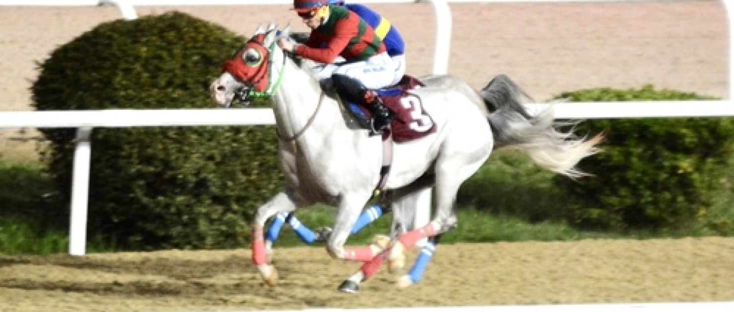 Tünkut Aksungur Koşusu'nda Gürbüz Tay'dan Tarihi Pist Rekoru!