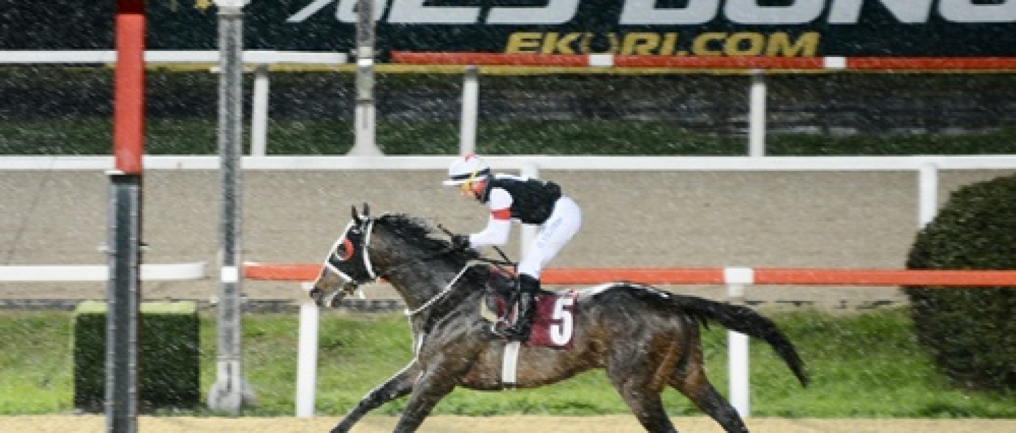 Mustafa Alver Koşusu'nda Zafer Hope Breeze'in Oldu