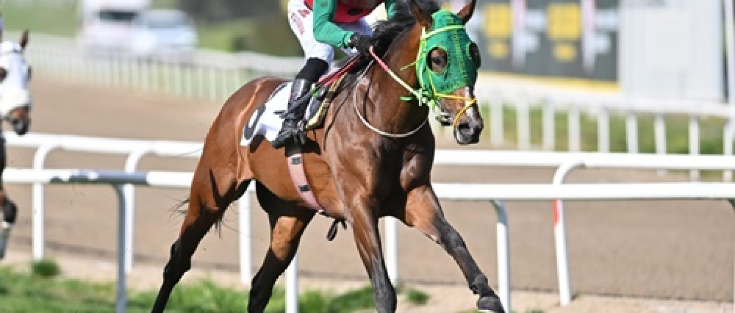 Fevzi Lütfi Karaosmanoğlu Koşusu'nda Zafere Kralın Dansı Ulaştı