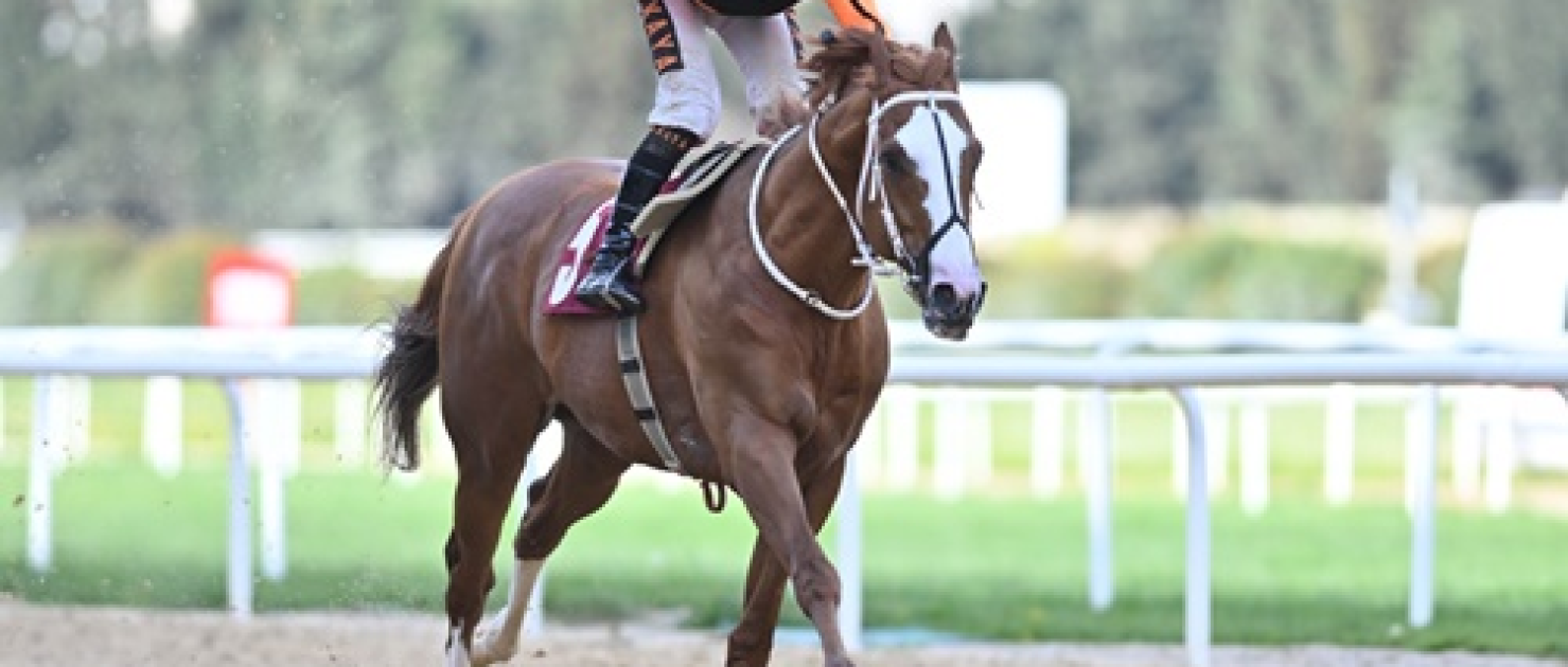 Sadık Giz Koşusu'nda Wardenclyffe'den 3. Zafer!