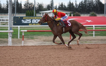 Osmaniye Belediye Başkanlığı Koşusu'nda Zafer Syntagma'nın Oldu