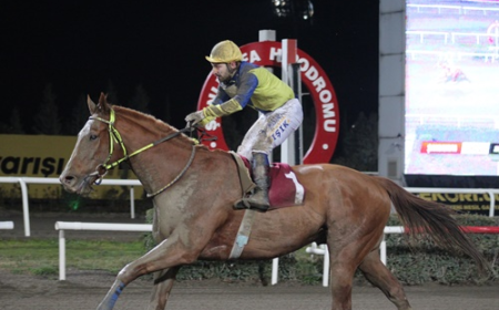 Akçakale Belediyesi Koşusu'nun Galibi Bogota Oldu