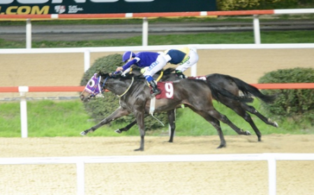 Nimet Üyken Koşusu'nu Lyara kazandı