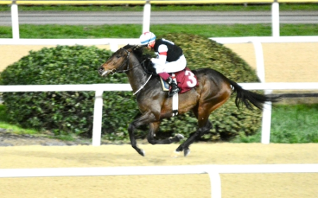 Özkan İşgüden Koşusu'nu Hope Breeze kazandı