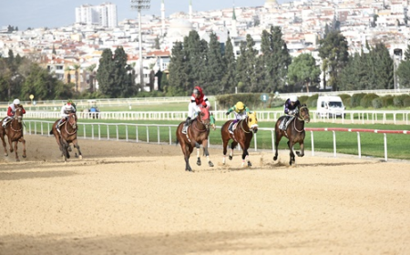 William Giraud Koşusu'nun galibi Hardox oldu