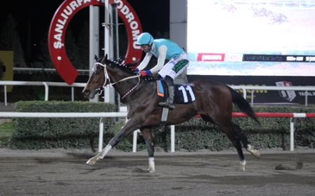 Şanlıurfa Ticaret ve Sanayi Odası Koşusu’nu Galloon kazandı